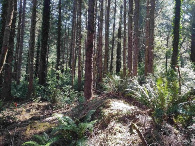 Wow. An acre + Less than 300 yards to the ocean and on a side - photo 8