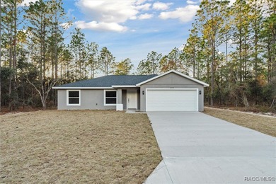 Bonable Lake Home Sale Pending in Dunnellon Florida