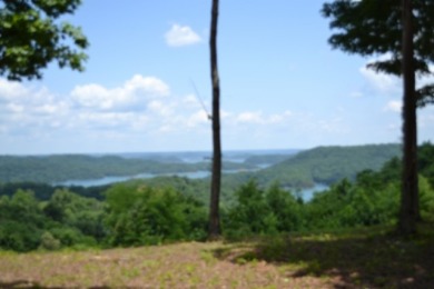 E Rockfish Rd - photo 12