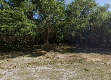 Port Charlotte Waterway Area Lot For Sale in Port Charlotte Florida