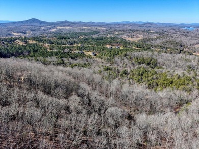 Do you want stunning Views of Lake Nottely and the North Georgia - photo 11