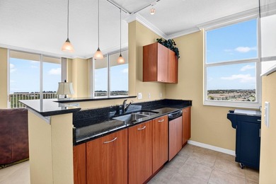 Amazing ocean and intracoastal views from this SE corner 3 - photo 9