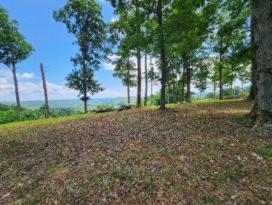 E Rockfish Rd - photo 7