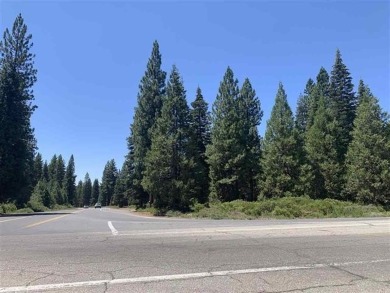 Lake Commercial For Sale in Lake Almanor, California