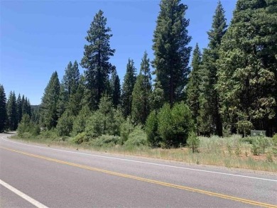 Lake Commercial For Sale in Lake Almanor, California