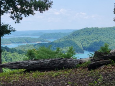 E Rockfish Rd - photo 6