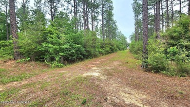 A RARE FIND, DON'T MISS YOUR OPPORTUNITY TO OWN 9.26 acres in a - photo 3