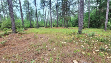A RARE FIND, DON'T MISS YOUR OPPORTUNITY TO OWN 9.26 acres in a - photo 4