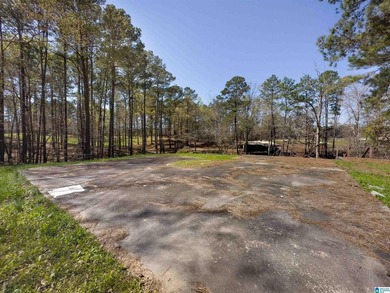 CHECK OUT THIS AMAZING VIEW 3 acres on Lay Lake for you to build - photo 11