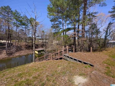 CHECK OUT THIS AMAZING VIEW 3 acres on Lay Lake for you to build - photo 12