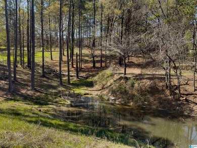 CHECK OUT THIS AMAZING VIEW 3 acres on Lay Lake for you to build - photo 14