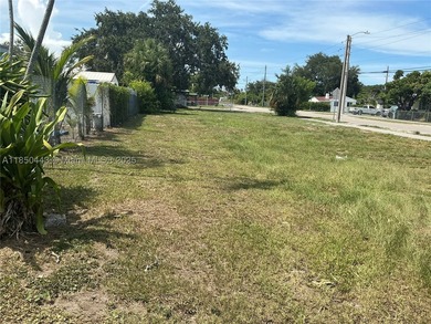 Beautiful Large Corner Lot! Developers Dream! Opportunity Zone - photo 1