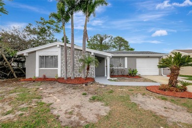(private lake, pond, creek) Home For Sale in New Port Richey Florida