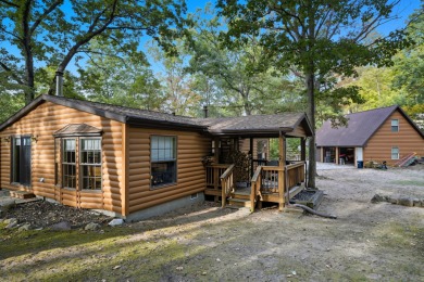 Lake Home For Sale in Reed City, Michigan