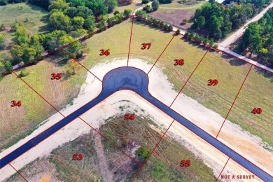 Lake Lot Sale Pending in Pittsburg, Texas