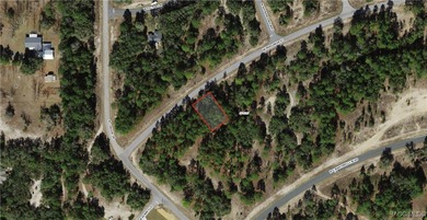 Rush Lake Lot For Sale in Dunnellon Florida