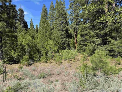 Lake Lot For Sale in Prattville, California