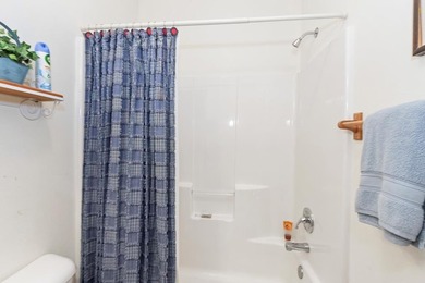 This FULLY FURNISHED two-bedroom, three-bathroom mountain chalet - photo 60