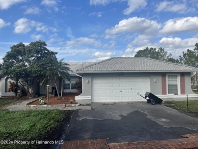 Lake Home Sale Pending in Brooksville, Florida