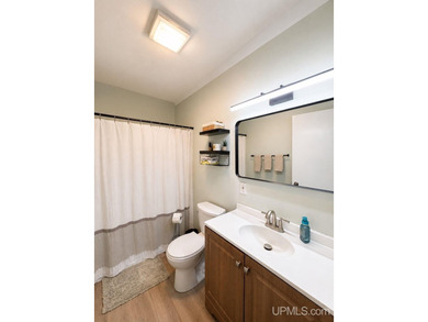 Welcome home to this beautifully maintained, move-in ready ranch - photo 11
