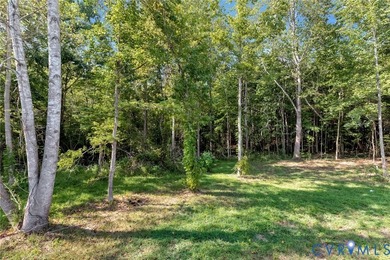 Welcome to 931 Light Street in Heathsville-a completely - photo 25