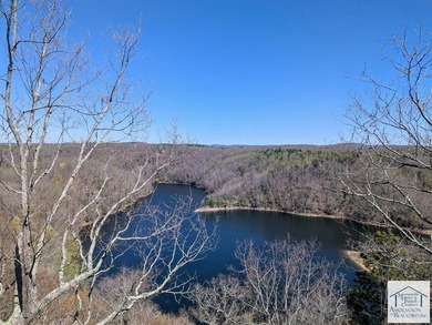 Welcome to 191 Reservoir Overlook, an Impressive 4 bedroom, 4.5 - photo 41