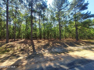 Lake Johnston  Lot Sale Pending in Wagram North Carolina