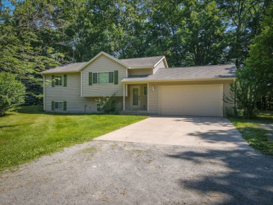 Lake Home For Sale in Newaygo, Michigan