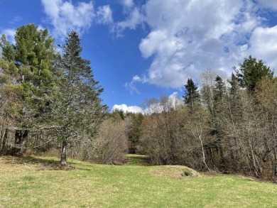 North Branch Deerfield River Acreage For Sale in Wilmington Vermont