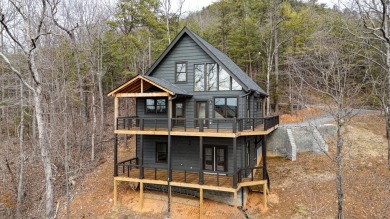 Lake Home For Sale in Ocoee, Tennessee