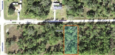 Lake Lot For Sale in Indian Lake Estates, Florida