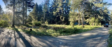 Beautiful wooded setting close to Pebble Beach Drive. This .64 - photo 1