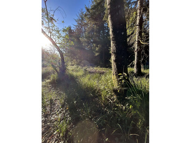 Beautiful wooded setting close to Pebble Beach Drive. This .64 - photo 2