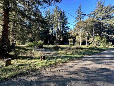 Beautiful wooded setting close to Pebble Beach Drive. This .64 - photo 3
