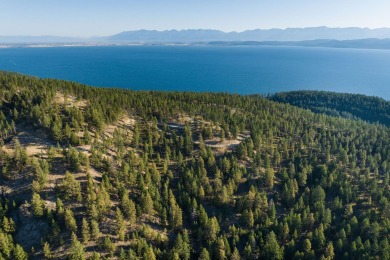Lake Acreage For Sale in Lakeside, Montana