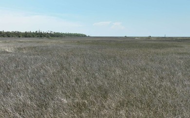 Landlocked property located in Taylor County. Property is 22.5 - photo 11