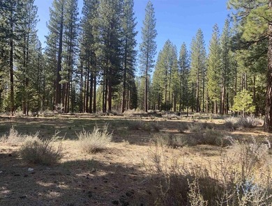 (private lake, pond, creek) Lot For Sale in Clio California