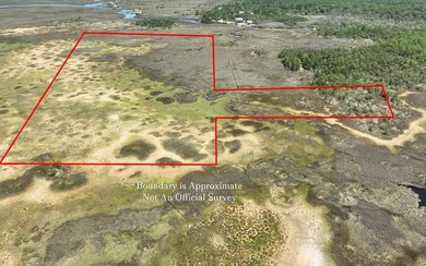 Landlocked property located in Taylor County. Property is 22.5 - photo 22