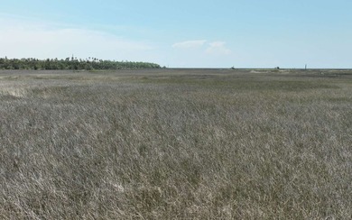 Landlocked property located in Taylor County. Property is 22.5 - photo 30