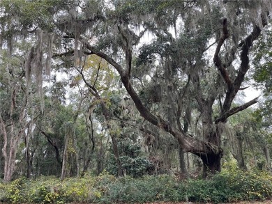 (private lake, pond, coastal) Lot For Sale in Darien Georgia