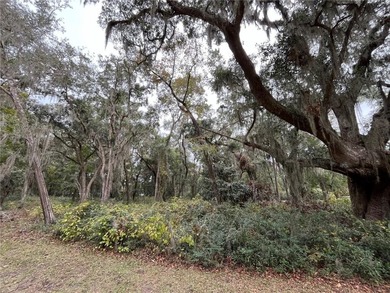 Beautiful homesite in perfect Tolomato location, just around the - photo 2