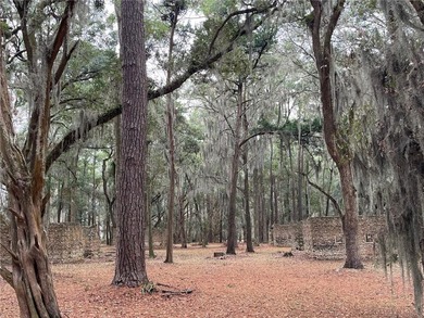 Beautiful homesite in perfect Tolomato location, just around the - photo 7