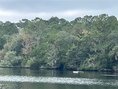 Beautiful homesite in perfect Tolomato location, just around the - photo 9