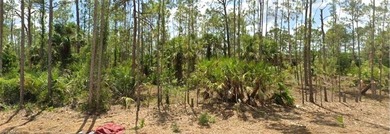 Lehigh Acres Area Lot For Sale in Lehigh Acres Florida