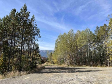 Lake Lot For Sale in Donnelly, Idaho