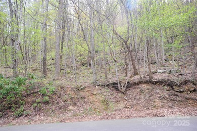 Burnett Reservoir Acreage Active Under Contract in Black Mountain North Carolina