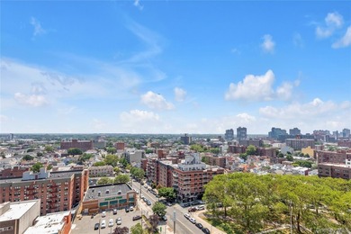 Move right into this sun-filled 15th-floor one-bedroom apartment - photo 11