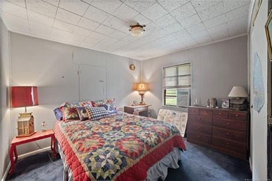 This is a must see for lake lovers. Main cabin plus 2-story - photo 11
