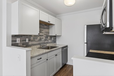 Welcome to this beautifully newly renovated 1-bedroom