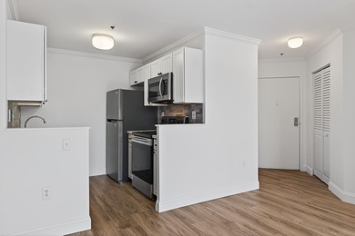 Welcome to this beautifully newly renovated 1-bedroom